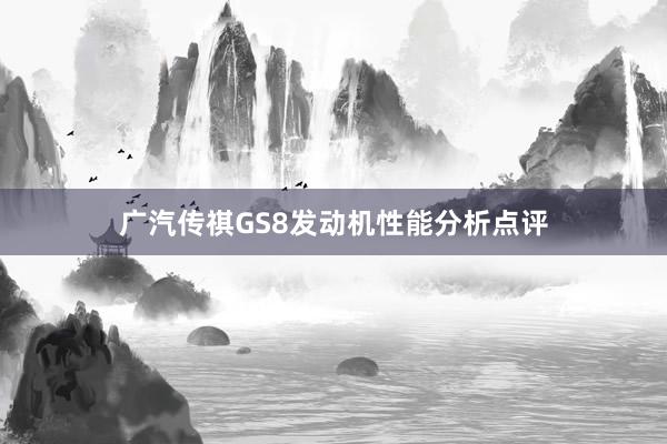 广汽传祺GS8发动机性能分析点评